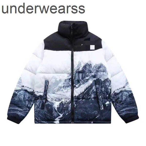 

mens down parkas designer 2023 mens down jacket north winter cotton womens jackets parka coat face outdoor windbreakers couple thick warm co, Black