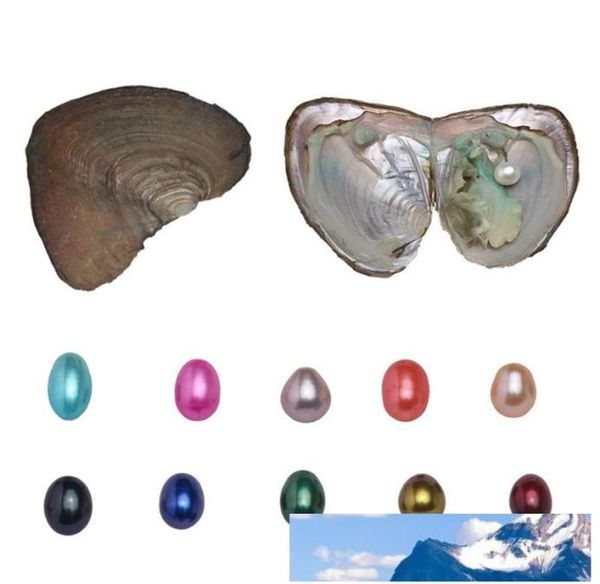 

natural single pearl oysters with triplets pearls beads 10 meaningful color pearl for birthday gift pearl party 68mm3pcsoyster3092140, White