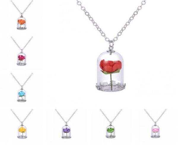 

classical glass vial necklace prince rose necklace pendants retro crystal natural dried flowers necklace for mom family9372254, Silver