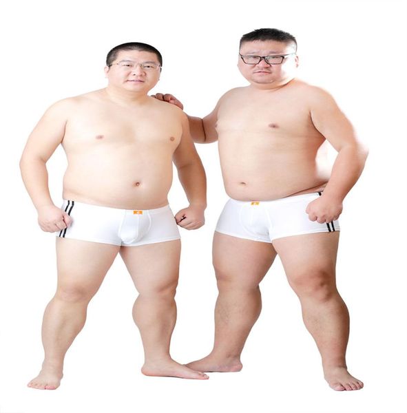 

2017 arrival bear claw men039s plus size small net boxers bear paw underwear designed for gay bear  l xl xxl2271508, Black;white