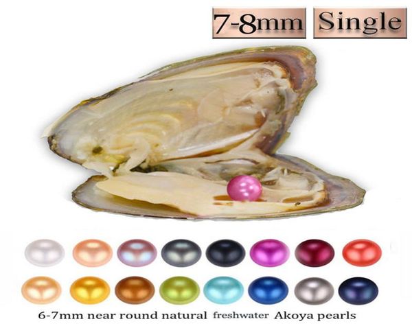 

new 1pc 78mm diy round variety good of color freshwater pearl oysters individually vacuum pack fashion trend gift surprise shell5340264, White