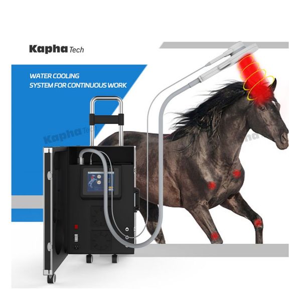 

equine loop pemf for horses magnetic therapy pain treatmnt physiotherapy equipment
