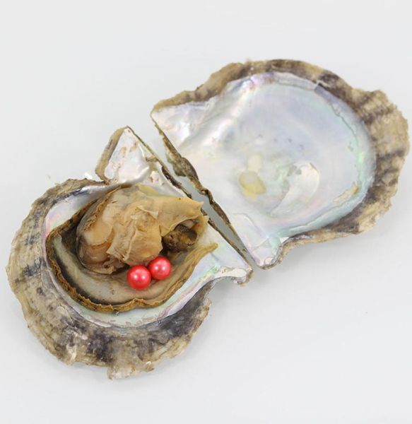 

twins round pearl akoya oyster whole 20pcs saltwater shell with 68mm round pearls inside 66 colors avaliable4752976, White