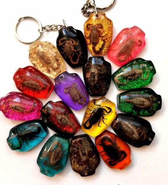

yqtdmy 12 pcs vase design fashion real scorpion keychain insect specimen keychain crafts4283235, Slivery;golden