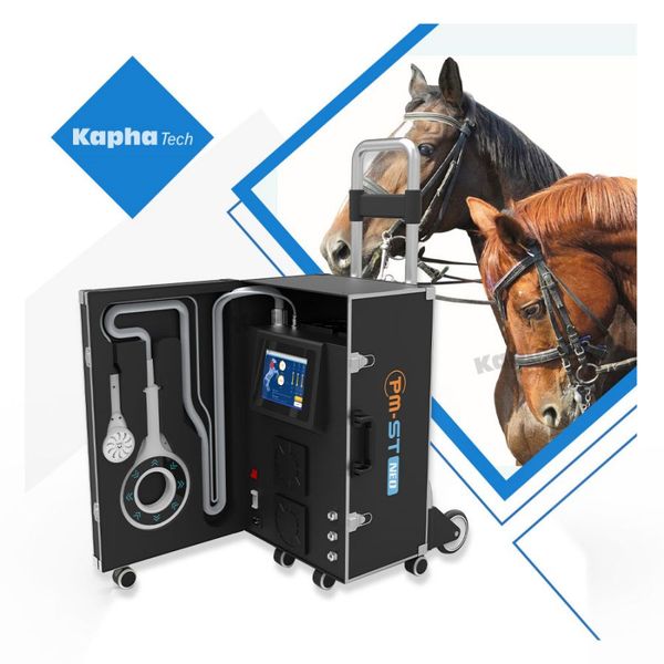 

4tesla pemf therapy for horses equine magnetic physiotherapy device with 3 meter long handle