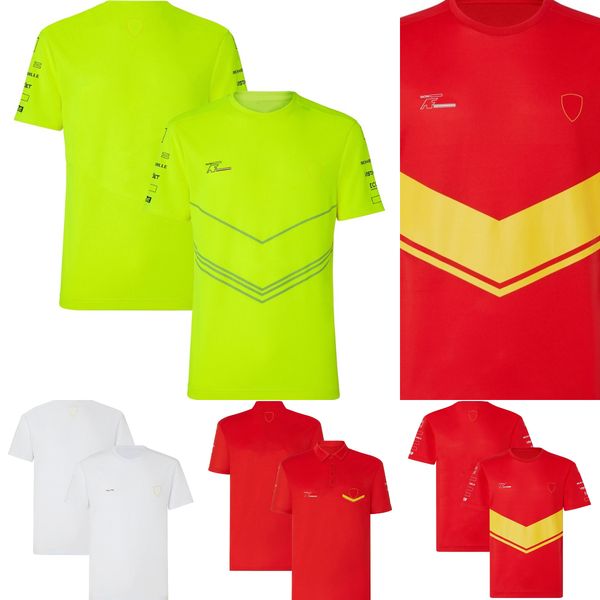 

f1 team racing fans t-shirt 2023 formula 1 men's summer t-shirt comfortable breathable sports polo shirts printing short sleeve