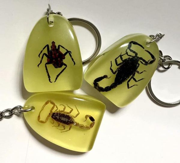 

10 pcs real scorpion insect keychain fashion specimen01234952335, Slivery;golden