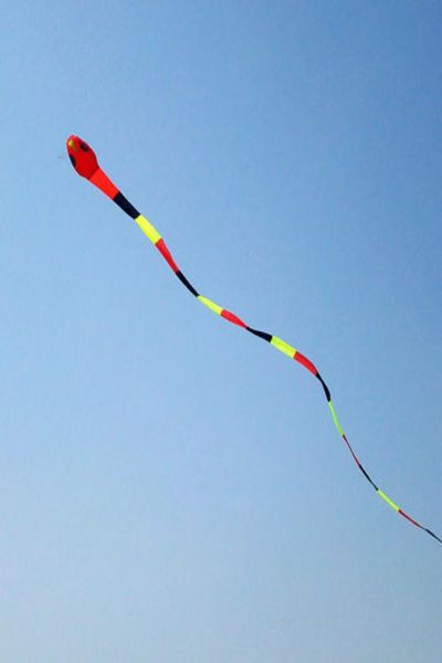 

3d 40meters stunt huge red hand snake power sport kite outdoor toy 7438039
