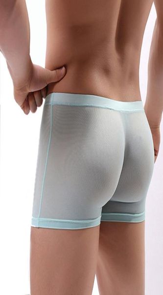 

underpants men boxer shorts underwear transparent mesh panties erotic see through slip homme onderbroek mannen cueca transparente 3199984, Black;white