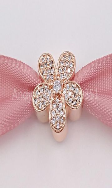 

dazzling daisy charm silver rose clear cz charms authentic 925 sterling silver beadsfits european style jewelry bracelets & nec andy jewel83, Black