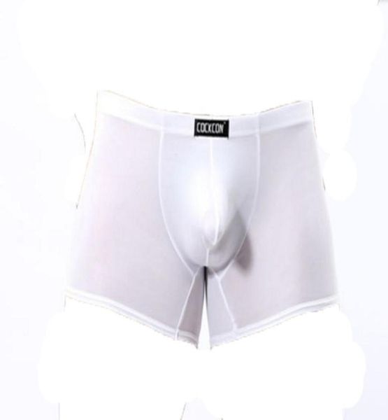 

cockcon male transparent underwear thin ice silk lowrise transparent pants1289682, Black;white