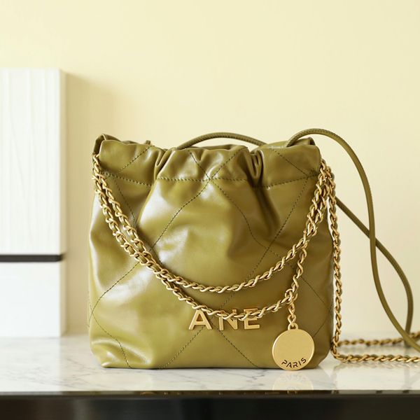 

22bag lady mini handbag genuine leather gold coin hobo bag fashion chain bag delicate knockoff super_bagss with box yc015-5