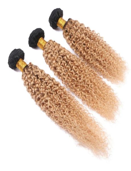 

two tone 1b 27 honey blonde ombre kinky curly hair extension 3pcslot afro kinky curl brazilian virgin human hair weaves wedding h3079565, Black;brown