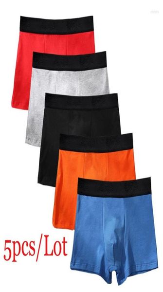 

underpants 5pcslot cotton man underware panties boxers men underwear boxer shorts homme comfort2531065, Black;white