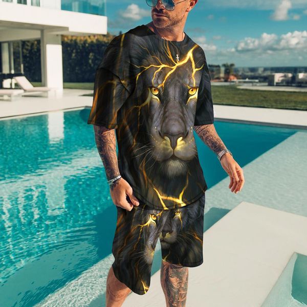 

men's tracksuits summer streetwear men's set sportswear men's oversized clothes 3d printed t-shirts shorts men's clothin, Gray