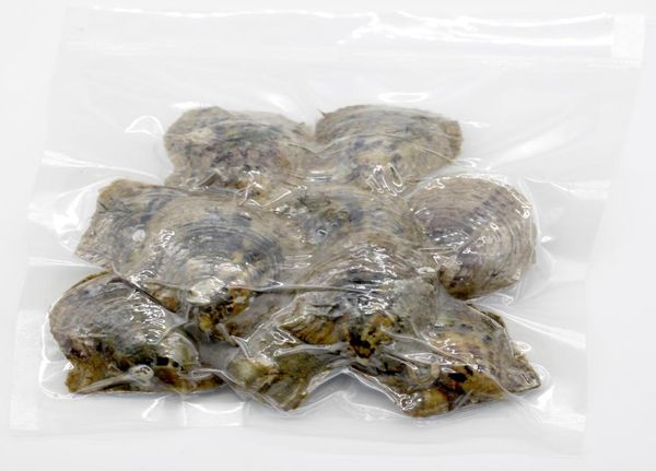 

whole love wish 1 pack akoya oyster with 10pcs singles akoya oyster bag with natural 68mm round pearls 66colors in random8532274, White