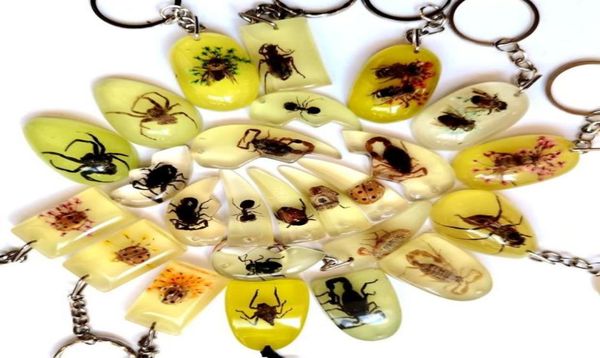 

50 pcs mixed style fashion keychain real insect charming jewelry9507228, Slivery;golden