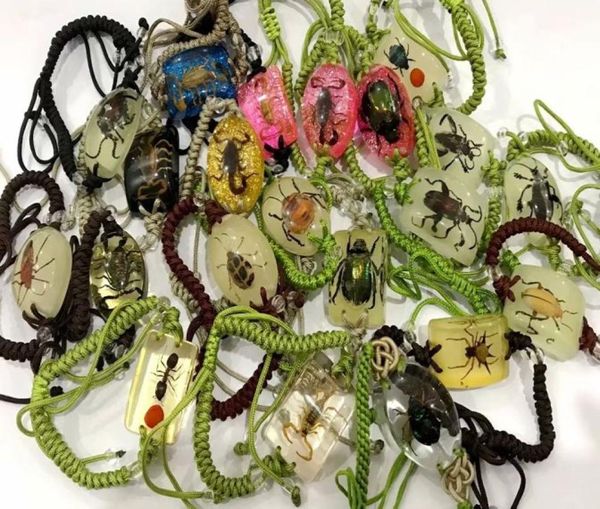 

yqtdmy 10 pcs charming bracelet real scorpion mixed insect style magic colorful bangle4486921, Black
