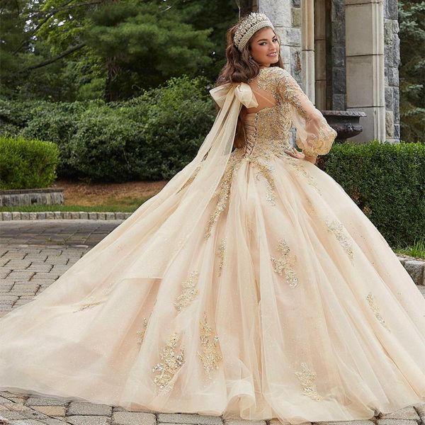 

champagne scoop appliques ball gown quinceanera dresses applique lace tulle lace-up sweet 16 dress debutante prom party dress, Blue;red