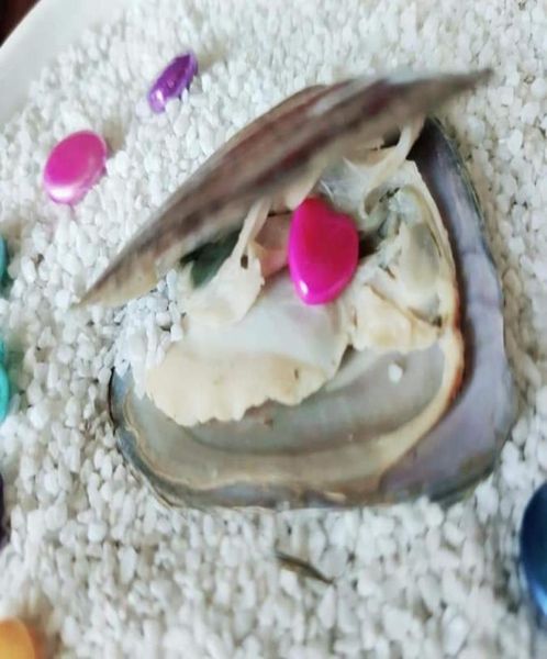 

mussel freshwater oysters with single shape pearl oval star heart moon cross coin shape all available 20pcslot9237726, White