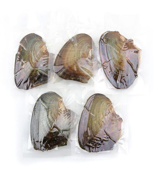 

individually wrapped oysters with natural large round pearls 610mm gift jewelry choose2481345, White