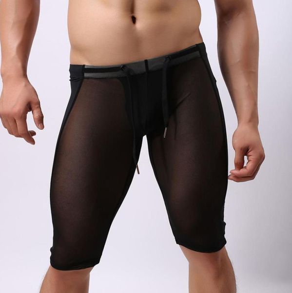 

new design sold colors male039s see through briefs transparent boxer elastic underwear shorts mesh protective crotch five pants3784032, Black;brown