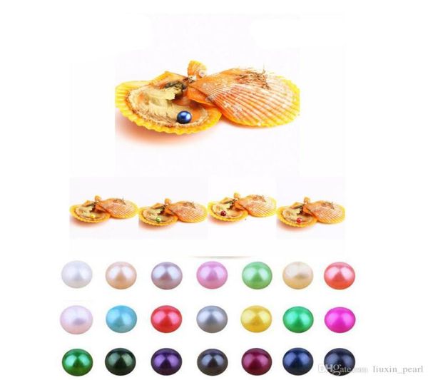 

new akoya love seawater shell pearl oyster 67mm red shell pearl oyster with vacuum packaging trend gift surpri4775044, White
