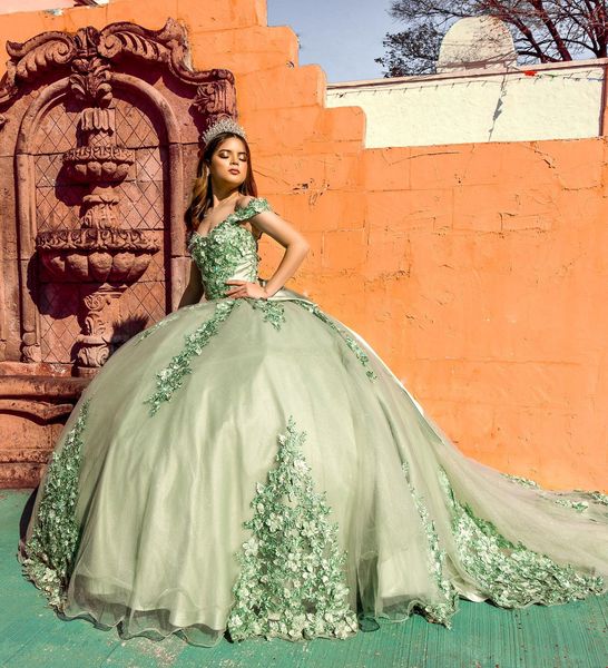 

sage flowers princess quinceanera dresses off the shoulder sweetheart sleeveless 3d floral lace appliques ball gown prom sweet 15 party dres, Blue;red