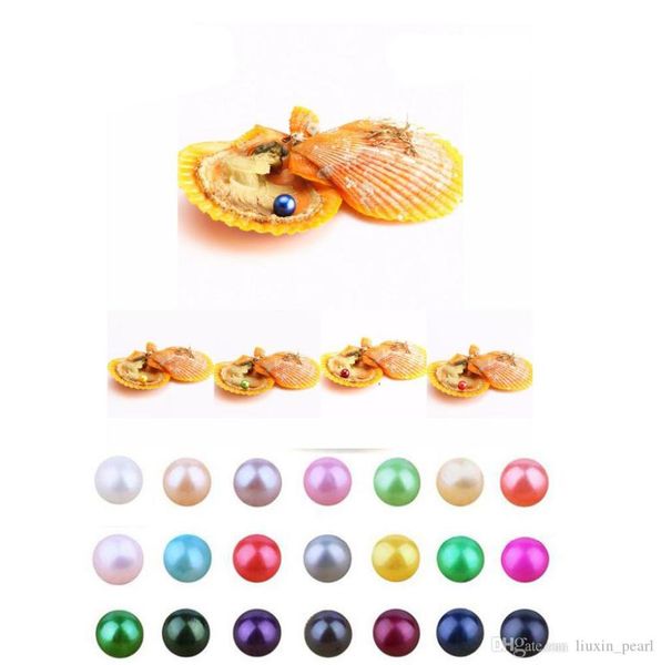 

new akoya love seawater shell pearl oyster 67mm red shell pearl oyster with vacuum packaging trend gift surpri1461622, White