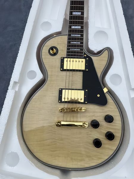 

electric guitar with paul, finish, fast transport, standard