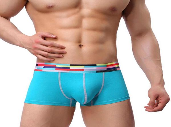 

underwear men boxer fashion breathable cotton boxers mens underware soft panties calzoncillos cuecas masculina 4pcslot3375699, Black;white