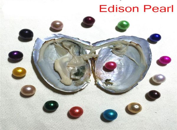 

new diy 911mm edison pearl oyster fresh water akoya whole in shell vacuumpacked birthday gift pearl show1612917, White