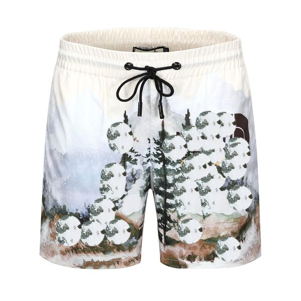 

2023 summer fashion mens designers shorts quick drying swimwear streetwears designer mens shorts clothing printing board beach pants 06, White;black