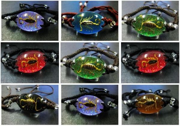 

on 36 pcs whole real scorpion king lucite bracelet bangle insect jewelry quality magical men jewelrygift mixed shipp4505368, Golden;silver