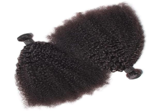 

brazilian virgin human hair afro kinky curly wave unprocessed remy hair weaves double wefts 100gbundle 2bundlelot can be dyed bl3424681, Black