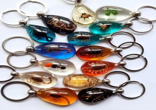 

15 pcs real scorpion spider crab ant four leaf clover drop shaped amber resin keychain taxidermy oddity insect encased2910251, Slivery;golden