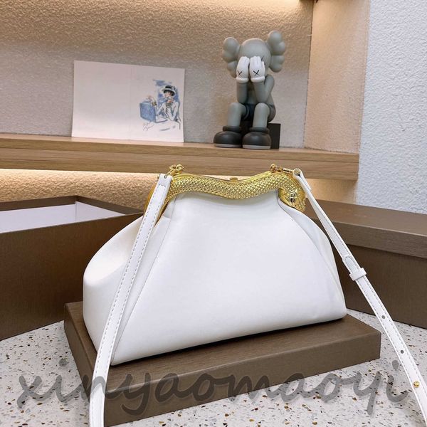 

franc series advanced classic original hardware designer luxury brand crossbody bag shoulder bag pillow bag version v104056