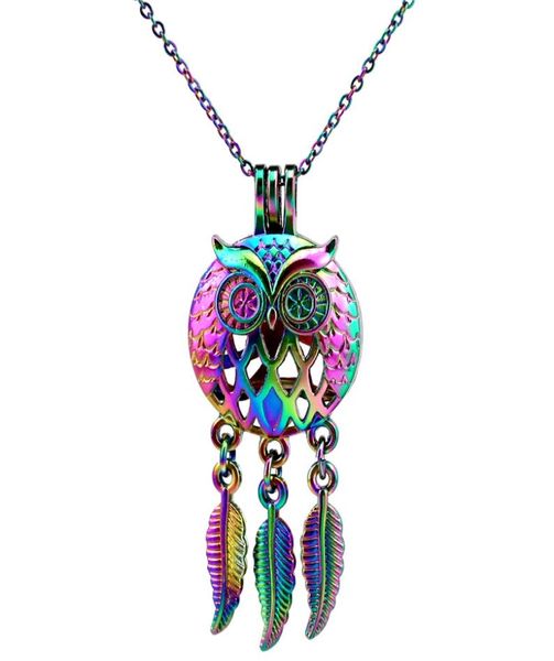 

c707 rainbow color dream catcher owl leaf beads cage pendant essential oil diffuser aromatherapy pearl cage locket pendant necklac4575551, Silver