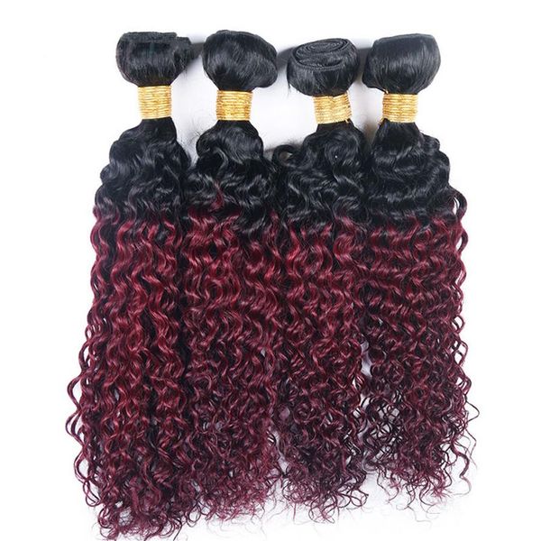 

kinky curly 4 bundles t 1b 99j ombre dark wine red two tone color brazilian virgin human hair weave 4 bundles extension223f, Black