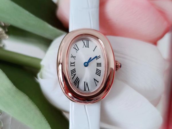 

women's new luxury roman character steel watch sapphire glass waterproof multi-color watch, Slivery;brown