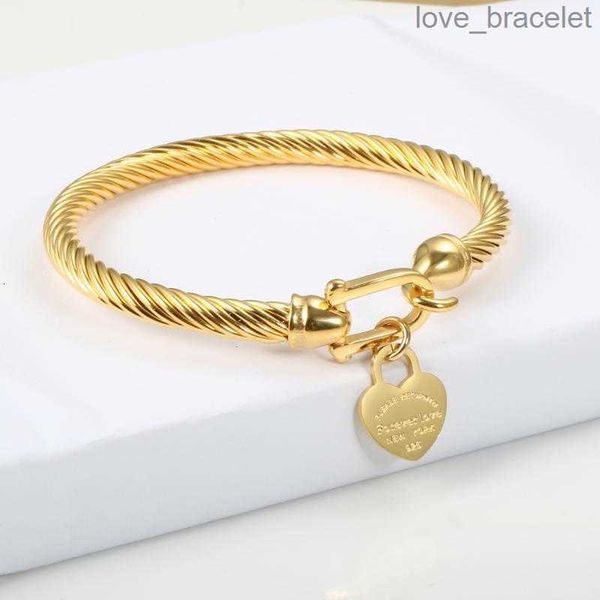 

titanium steel bangle cable wire gold color love heart charm bangle bracelet with hook closure for women men wedding jewelry gifts1, Black