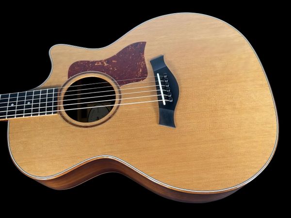 

tay or 315ce grand auditorium granadillo limited edition acoustic guitar