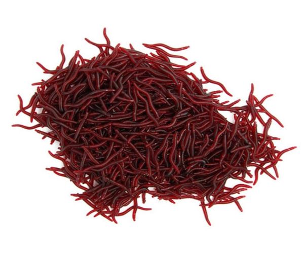 

fishingfishing lures 20100pcs 35mm earthworm fishing lifelike worm fluorescent light soft lure silicone bait fishy smell shrimp a8527033