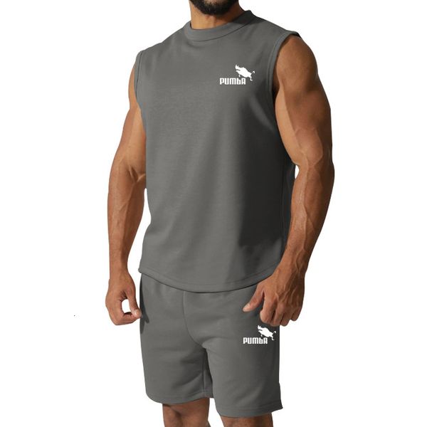 

men s tracksuits summer men fashion printed short sleeve t shirt 2 piece sets outfits casual trend clothing suit 230720, Gray