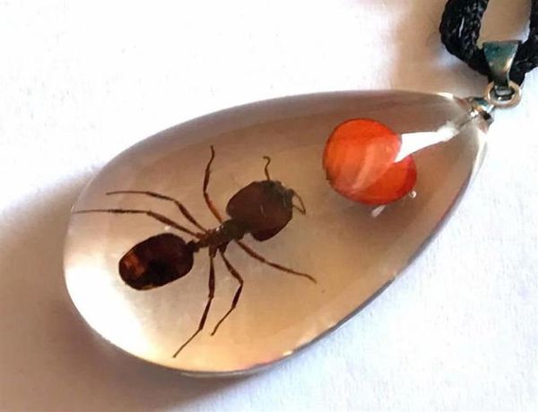 

16 pcs fashion real red bean ant pendant lucid drop style jewelry22551087840, Silver