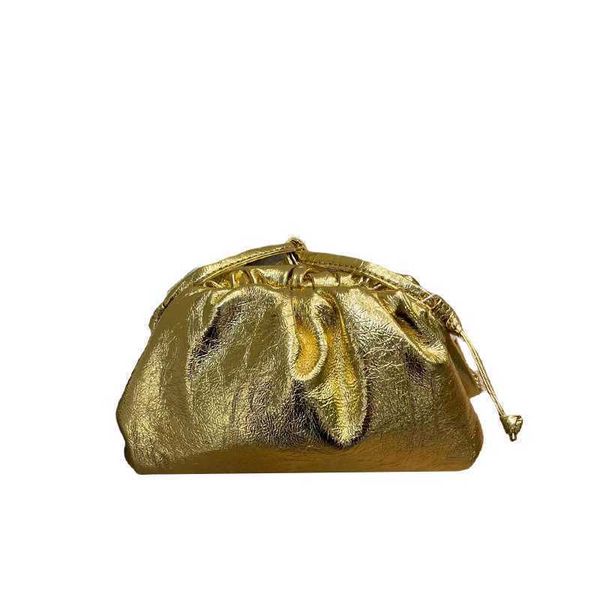 

botte bag venetes pouch bag small size pleated clip bag style handheld bag crossbody bag for women vnih