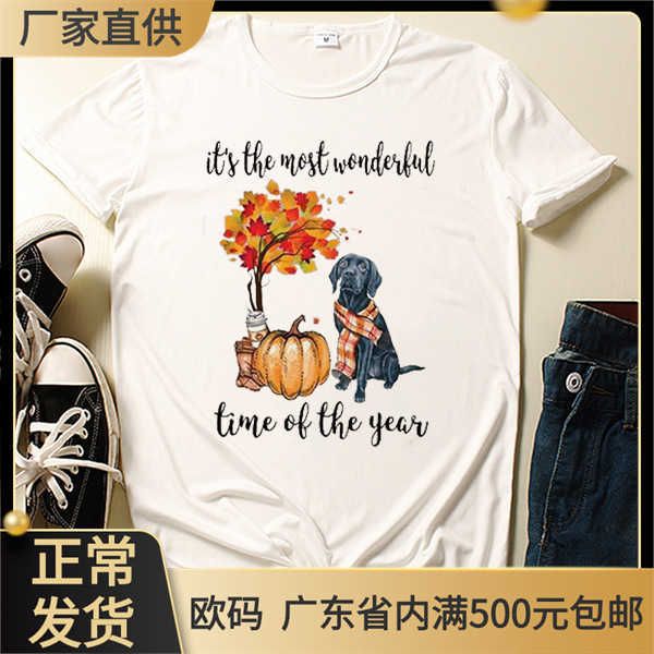 

labrador fall it_ the most wonderful time halloween short sleeve t-shirt, White