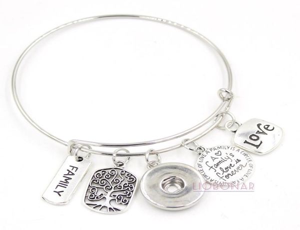 

wholesale snap jewelry adjustable expandable bangle memorial family tree charm bracelets snap button bracelets for family gift2999615, Golden;silver