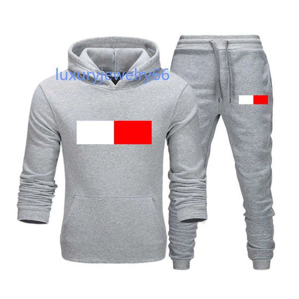 

men's tracksuits 2023 men's tracksuit luxury 2 piece set casual hoodies sweatshirt sweatpants suit teens sports print jogging s-3x, Gray