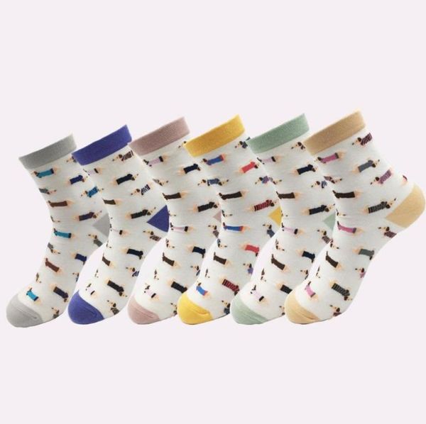 

animal women socks colorful cute sausage dog cotton cartoon couple lady girl spring summer socks zoo7056014, Black;white